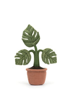 
                        
                          Load image into Gallery viewer, Jellycat Amuseable Monstera Plant
                        
                      