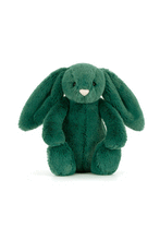 Load image into Gallery viewer, Jellycat Bashful Teal Bunny Little