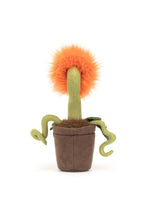 將圖片載入圖庫檢視器 Jellycat Carinflore Tammie