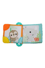 將圖片載入圖庫檢視器 Bright Starts Teethe & Read Toy