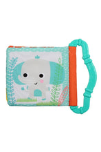 將圖片載入圖庫檢視器 Bright Starts Teethe & Read Toy