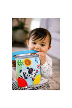 
                        
                          Load image into Gallery viewer, Baby Einstein Curious Explorers Teether Book 6
                        
                      
