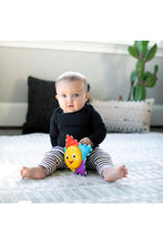 將圖片載入圖庫檢視器 Baby Einstein Star Bright Symphony Take-Along Toy 3