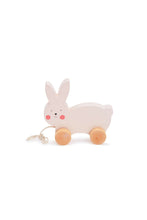 
                        
                          Load image into Gallery viewer, Bubble Wooden Rabbit Pull Along 1
                        
                      