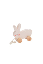 
                        
                          Load image into Gallery viewer, Bubble Wooden Rabbit Pull Along 4
                        
                      