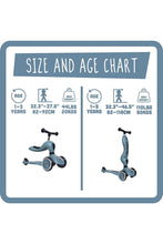 
                        
                          Load image into Gallery viewer, Scoot &amp; Ride Highwaykick 2In1 Steel
                        
                      
