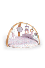 將圖片載入圖庫檢視器 Ingenuity Cozy Spot Duvet Activity Gym Calla