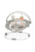 Load image into Gallery viewer, Ingenuity InLighten Bouncer - Nate 1