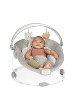 Load image into Gallery viewer, Ingenuity InLighten Bouncer - Nate 5