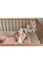 Load image into Gallery viewer, Miffy Little Dutch Gift Box - Lucky Blossom