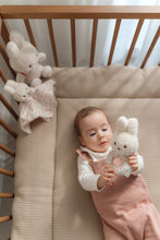 Load image into Gallery viewer, Miffy Little Dutch Gift Box - Lucky Blossom