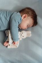 Load image into Gallery viewer, Miffy Little Dutch Gift Box - Lucky Leaves