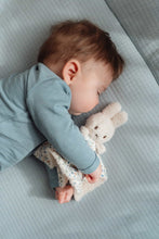 Load image into Gallery viewer, Miffy Little Dutch Gift Box - Lucky Leaves