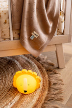 Load image into Gallery viewer, Trixie Night Light - Mr Lion