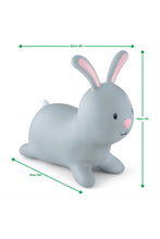 
                        
                          Load image into Gallery viewer, Early Learning Centre Hop Along Rabbit 2
                        
                      