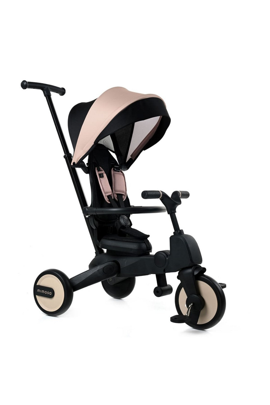 7 in 2025 1 trike