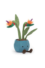 
                        
                          Load image into Gallery viewer, Jellycat Amuseable Bird Of Paradise
                        
                      