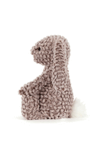 
                        
                          Load image into Gallery viewer, Jellycat Bashful Luxe Bunny Pine Original
                        
                      