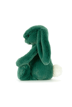 
                        
                          Load image into Gallery viewer, Jellycat Bashful Teal Bunny Little
                        
                      