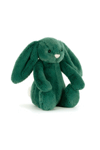 
                        
                          Load image into Gallery viewer, Jellycat Bashful Teal Bunny Little
                        
                      
