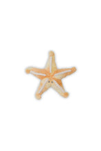 
                        
                          Load image into Gallery viewer, Bubble Plush Toy Sunny The Starfish - Online Exclusive
                        
                      