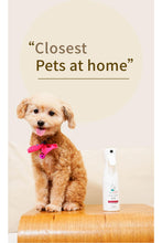 
                        
                          Load image into Gallery viewer, Familoves Flea &amp; Tick Spray 200ml
                        
                      