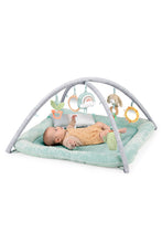 
                        
                          Load image into Gallery viewer, Ingenuity Calm Springs Plush Activity Gym - Chic Boutique 7
                        
                      