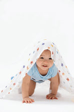 
                        
                          Load image into Gallery viewer, NotTooBig Bamboo Swaddle Monster - 3 Pack
                        
                      