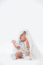 
                        
                          Load image into Gallery viewer, NotTooBig Bamboo Swaddle Monster - 3 Pack
                        
                      
