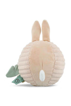 
                        
                          將圖片載入圖庫檢視器 Trixie 發聲球 - Mrs. Rabbit
                        
                      