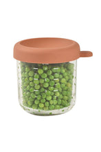 
                        
                          Load image into Gallery viewer, Beaba 250 Ml Glass Portion Terracotta
                        
                      
