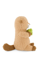 
                        
                          Load image into Gallery viewer, Snuggle Bunnies Ollie The Otter Cocoa 30cm
                        
                      