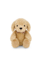 
                        
                          Load image into Gallery viewer, Snuggle Bunnies Honey The Puppy Honey 25cm
                        
                      
