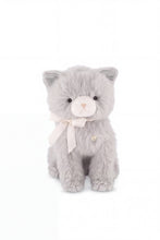 
                        
                          Load image into Gallery viewer, Snuggle Bunnies Moon The Kitty Soft Grey 30cm
                        
                      
