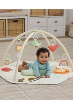 
                        
                          Load image into Gallery viewer, Skip Hop  Geometric Wonders Activity Gym - Online Exclusive
                        
                      