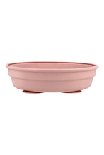 
                        
                          將圖片載入圖庫檢視器 Snapkis 2-in-1 Stainless Steel Divided Plate - Tea Rose
                        
                      