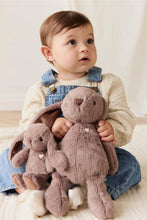 
                        
                          Load image into Gallery viewer, Snuggle Bunnies Penelope - Spice - 30 Cm
                        
                      