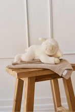 
                        
                          Load image into Gallery viewer, Snuggle Bunnies Lambie - sleeping on chair
                        
                      