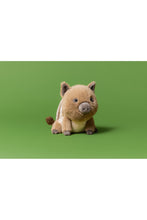 
                        
                          Load image into Gallery viewer, Jellycat Swinley Boar
                        
                      