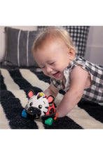 
                        
                          將圖片載入圖庫檢視器 Baby Einstein Curious Car Zen Oball Toy Car &amp; Rattle
                        
                      