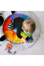 
                        
                          Load image into Gallery viewer, Baby Einstein Zen&#39;s Activity Milestones Plush Gym
                        
                      