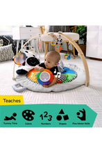 
                        
                          Load image into Gallery viewer, Baby Einstein Zen&#39;s Activity Milestones Plush Gym
                        
                      