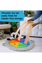 
                        
                          Load image into Gallery viewer, Baby Einstein Zen&#39;s Activity Milestones Plush Gym
                        
                      