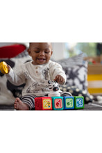 
                        
                          將圖片載入圖庫檢視器 Baby Einstein Add &amp; Stack Magnetic Activity Blocks 13
                        
                      