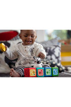 
                        
                          Load image into Gallery viewer, Baby Einstein Add &amp; Stack Magnetic Activity Blocks 13
                        
                      