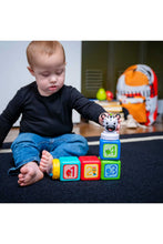
                        
                          Load image into Gallery viewer, Baby Einstein Add &amp; Stack Magnetic Activity Blocks 6
                        
                      
