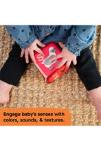 
                        
                          Load image into Gallery viewer, Baby Einstein Alpha Stacks Soft Blocks
                        
                      