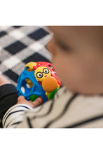 
                        
                          Load image into Gallery viewer, Baby Einstein Bendy Ball Rattle Toy 5
                        
                      