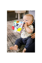 
                        
                          Load image into Gallery viewer, Baby Einstein Curious Explorers Teether Book 7
                        
                      