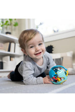 
                        
                          Load image into Gallery viewer, Baby Einstein Rattle &amp; Sense Sensory Play Ball
                        
                      
